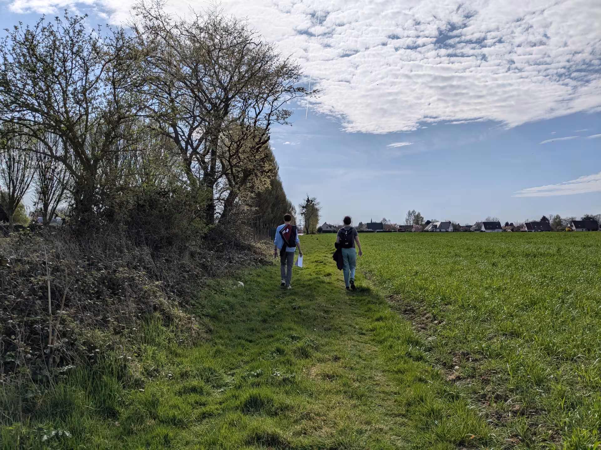 Chemin rural à proximité de la zone commerciale de Roumare